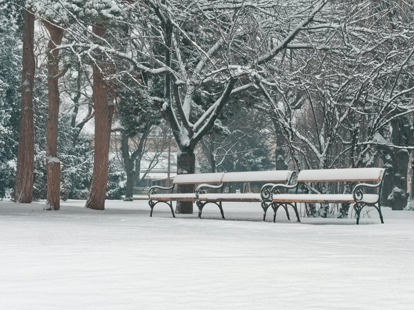 Sourire éclatant : top astuces pour choisir un détartreur dentaire